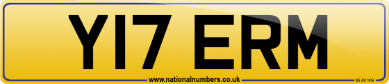 Y17 ERM