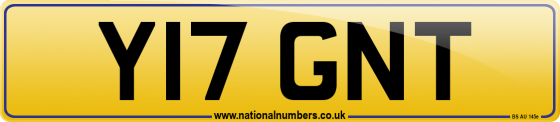 Y17 GNT