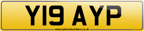 Y19 AYP