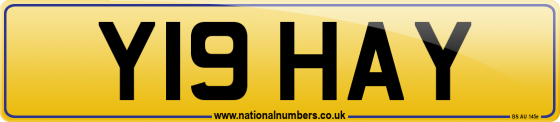 Y19 HAY