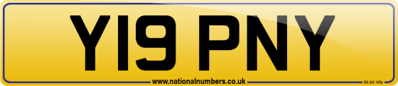 Y19 PNY