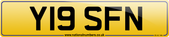 Y19 SFN