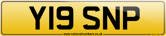 Y19 SNP