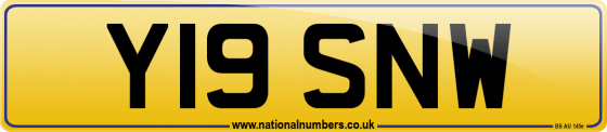 Y19 SNW