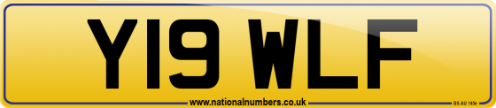 Y19 WLF