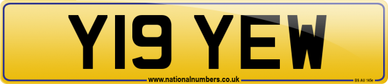 Y19 YEW
