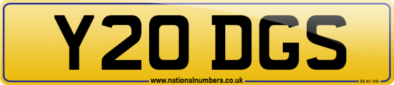 Y20 DGS