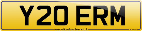 Y20 ERM