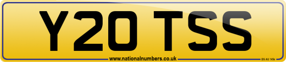 Y20 TSS