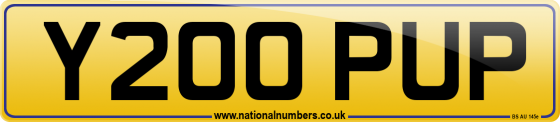 Y200 PUP