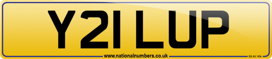 Y21 LUP