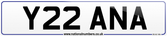 Y22 ANA