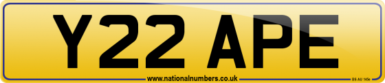 Y22 APE