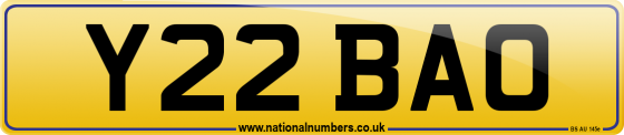 Y22 BAO