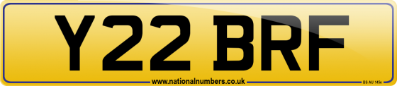 Y22 BRF
