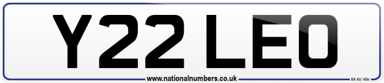 Y22 LEO