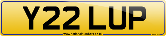 Y22 LUP