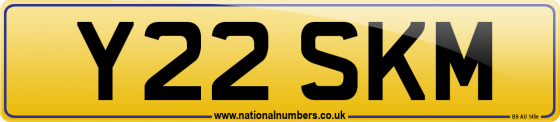 Y22 SKM
