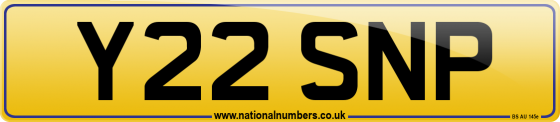 Y22 SNP