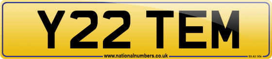 Y22 TEM