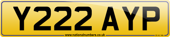 Y222 AYP