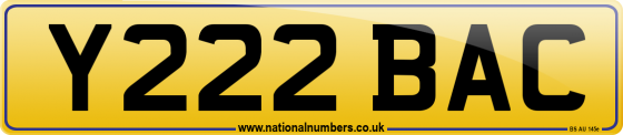 Y222 BAC