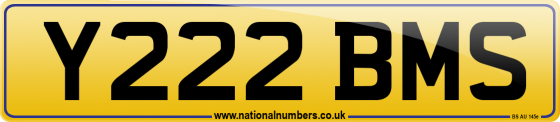 Y222 BMS