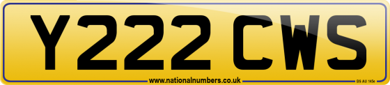 Y222 CWS