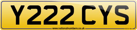 Y222 CYS