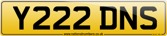Y222 DNS