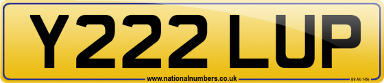 Y222 LUP