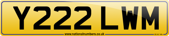 Y222 LWM