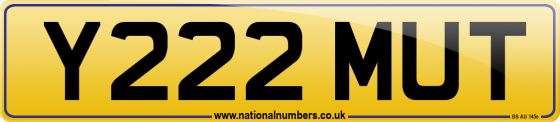 Y222 MUT