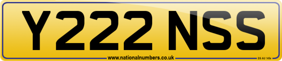 Y222 NSS