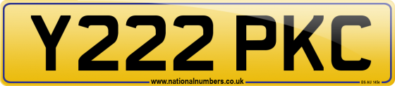 Y222 PKC