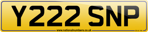 Y222 SNP