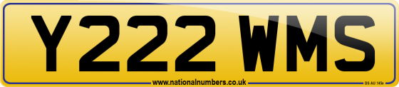 Y222 WMS