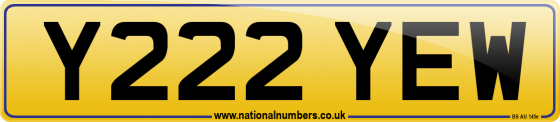 Y222 YEW