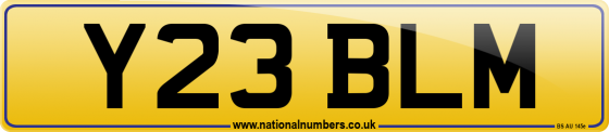 Y23 BLM