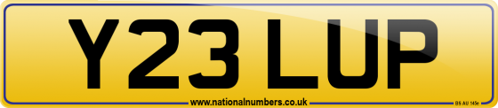 Y23 LUP