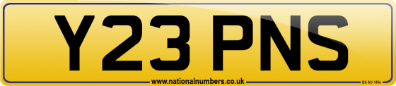 Y23 PNS