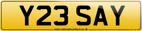 Y23 SAY