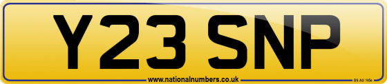 Y23 SNP
