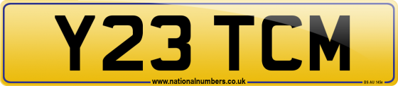 Y23 TCM