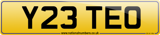 Y23 TEO