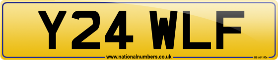 Y24 WLF