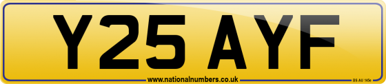 Y25 AYF