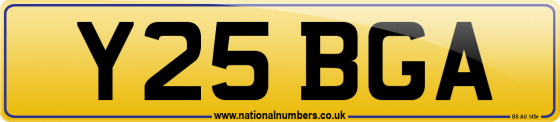 Y25 BGA