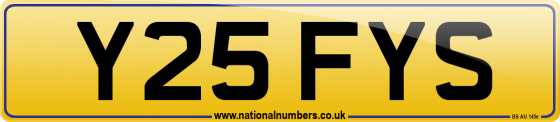 Y25 FYS