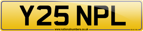 Y25 NPL